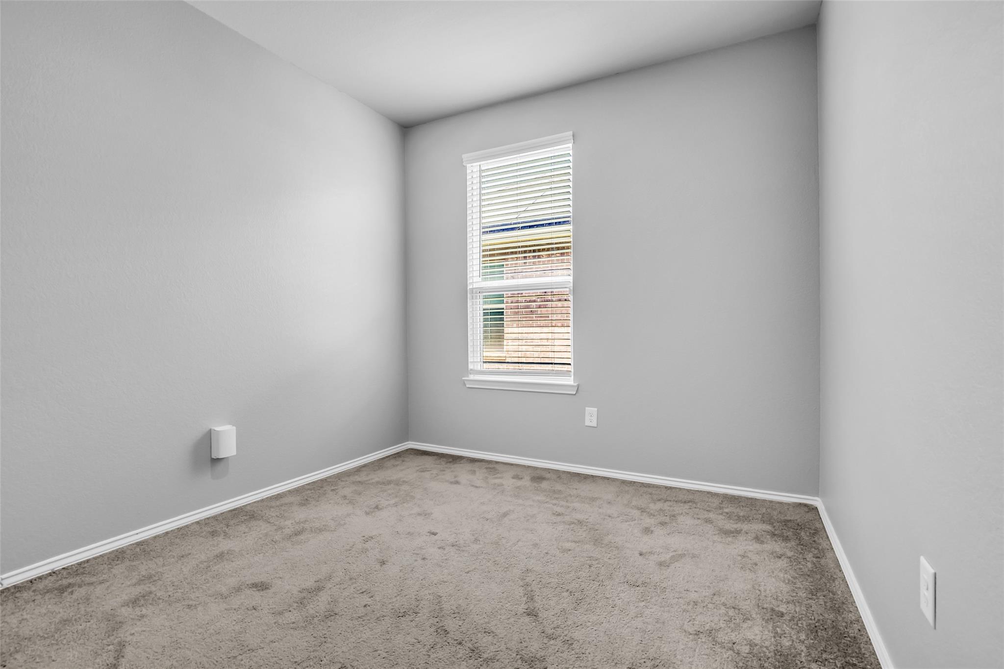25703 Bottlebrush Sedge Street