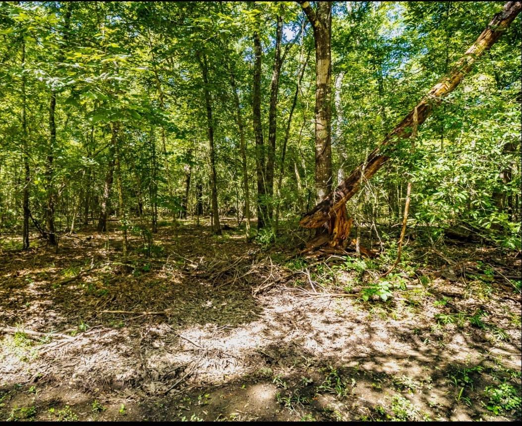 TBD Lazy Oak Drive Drive