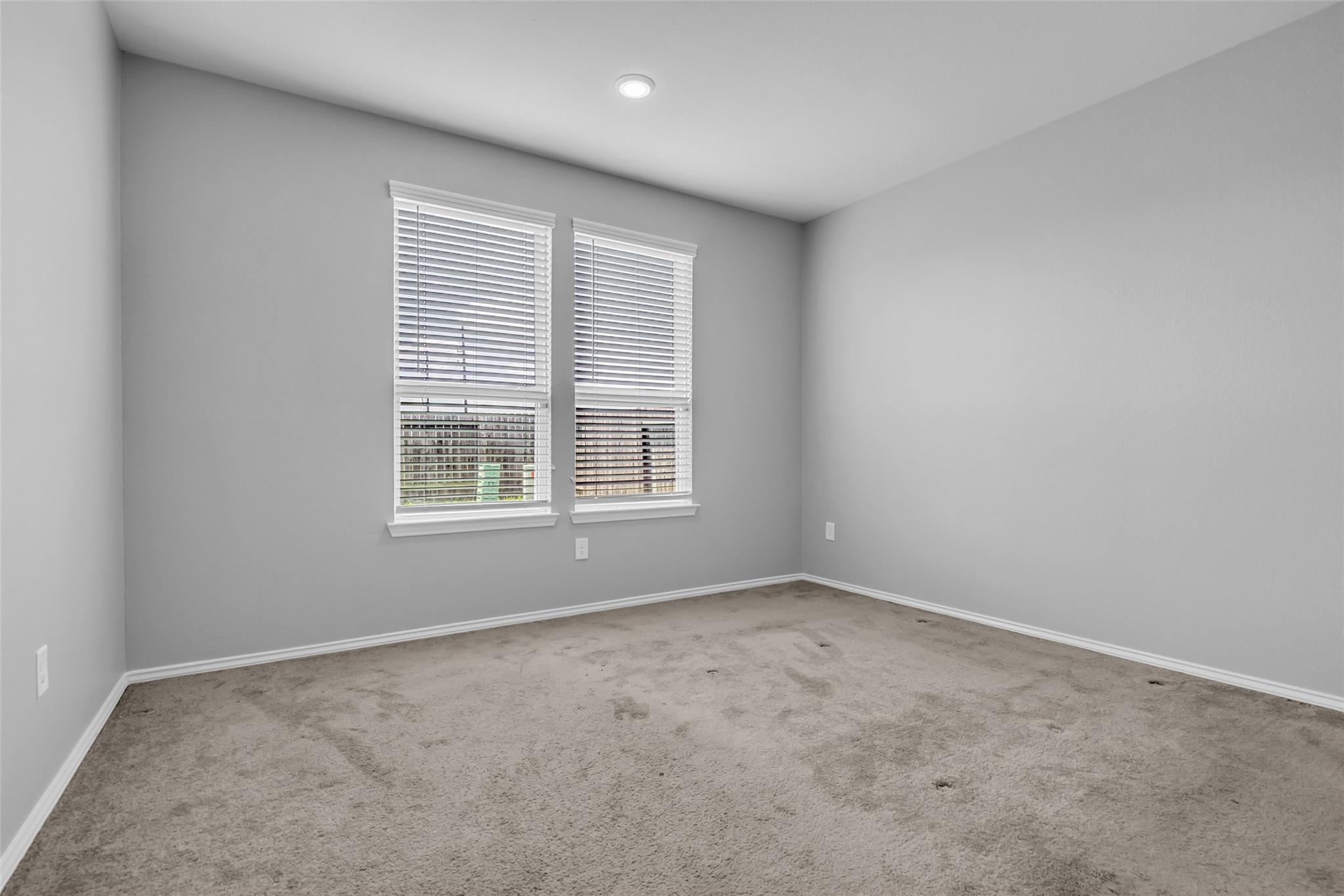 25703 Bottlebrush Sedge Street