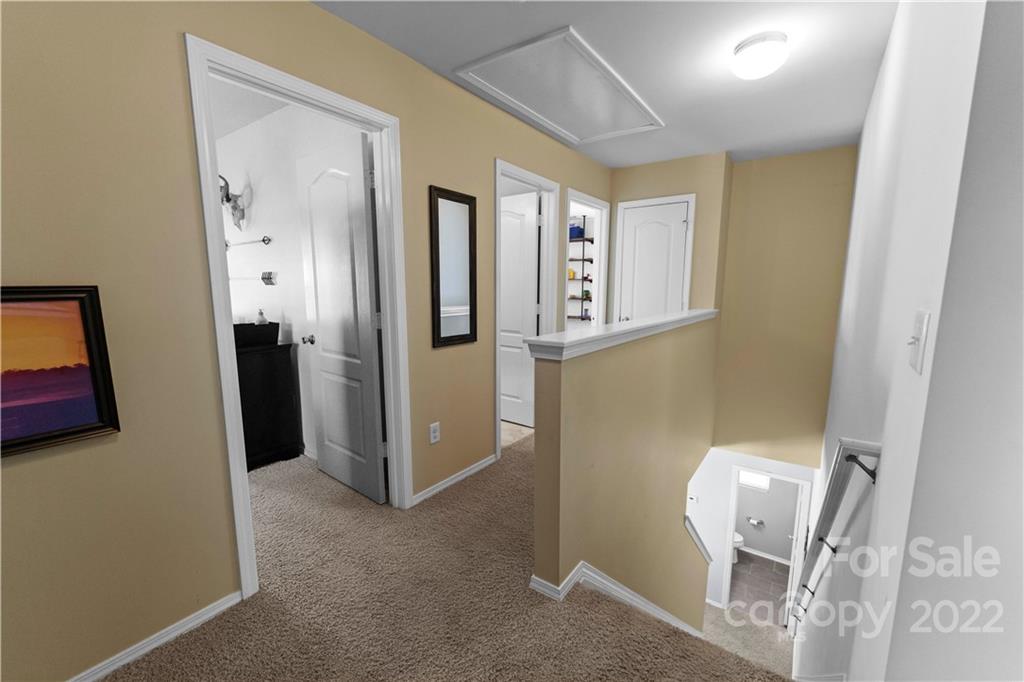113 Tulip Drive