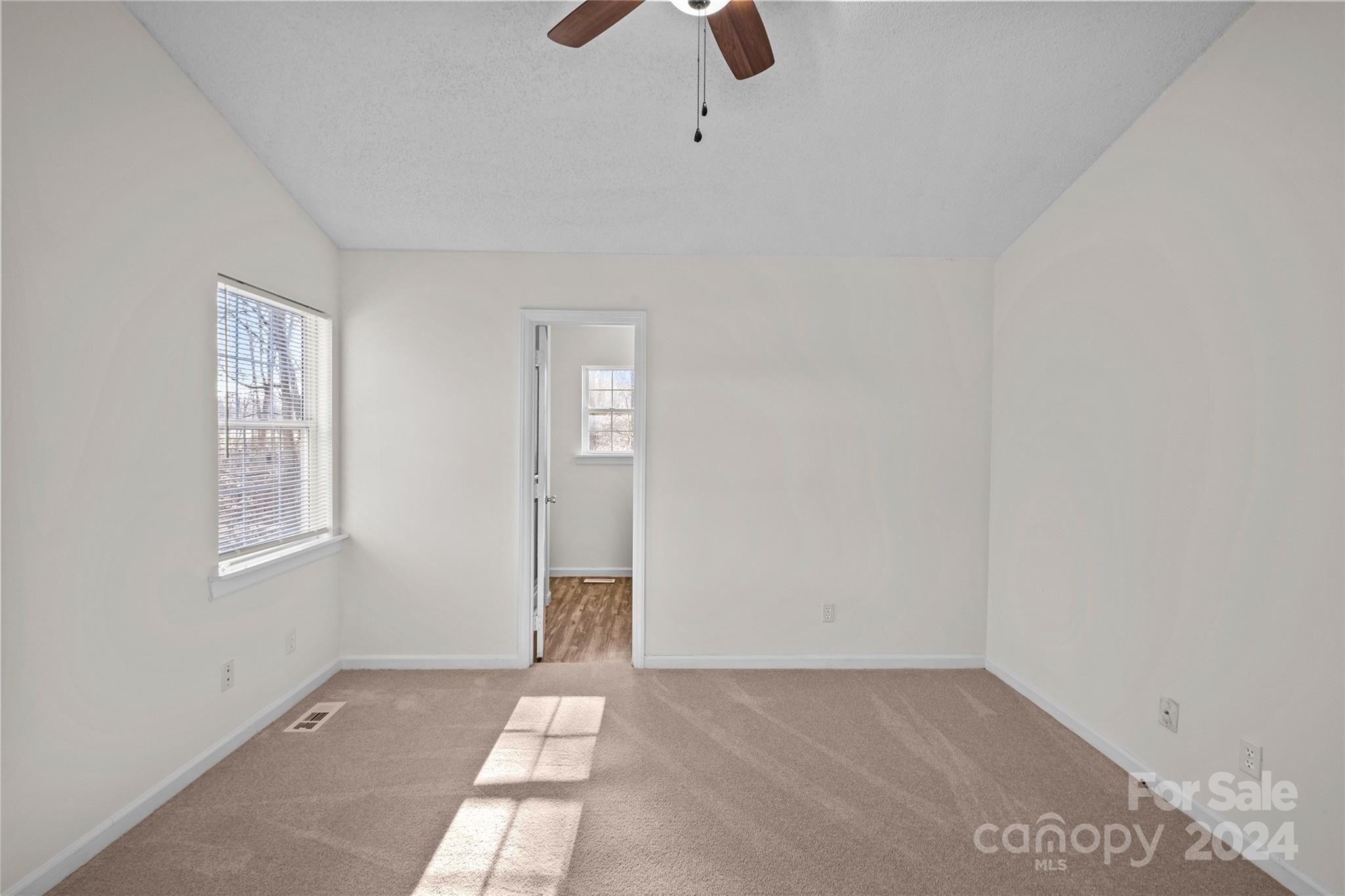 133 Mills Forest Lane