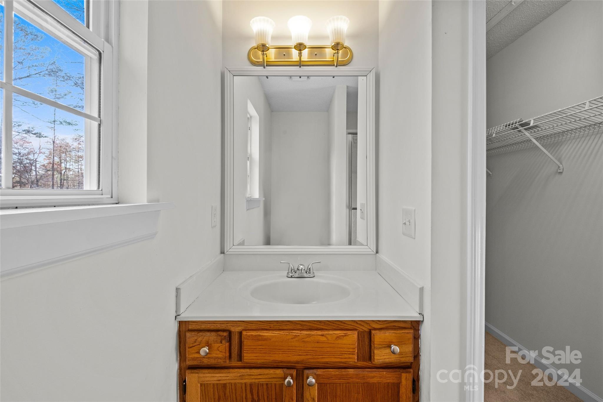 133 Mills Forest Lane