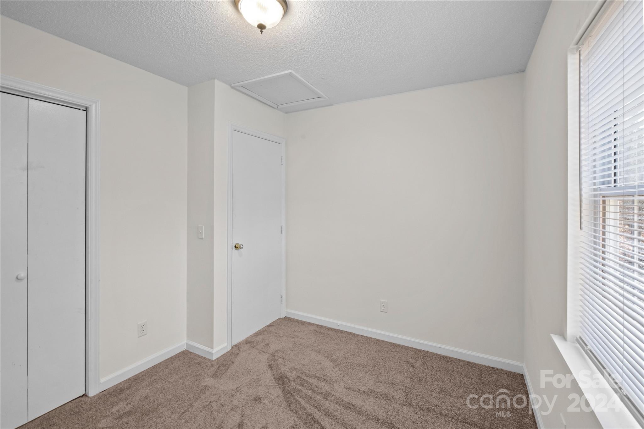 133 Mills Forest Lane