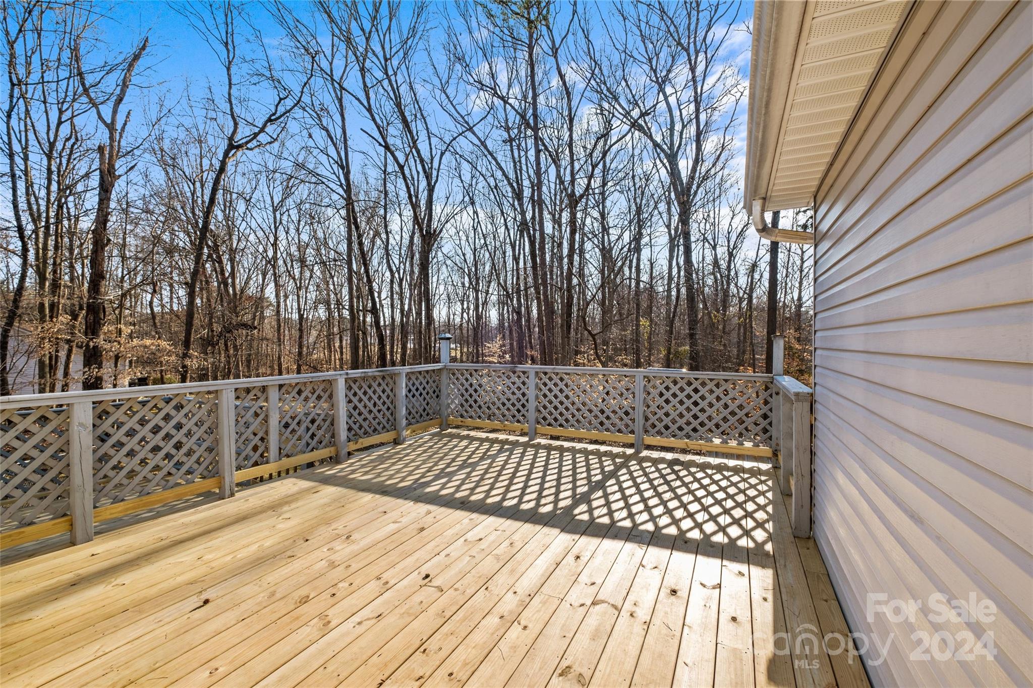 133 Mills Forest Lane