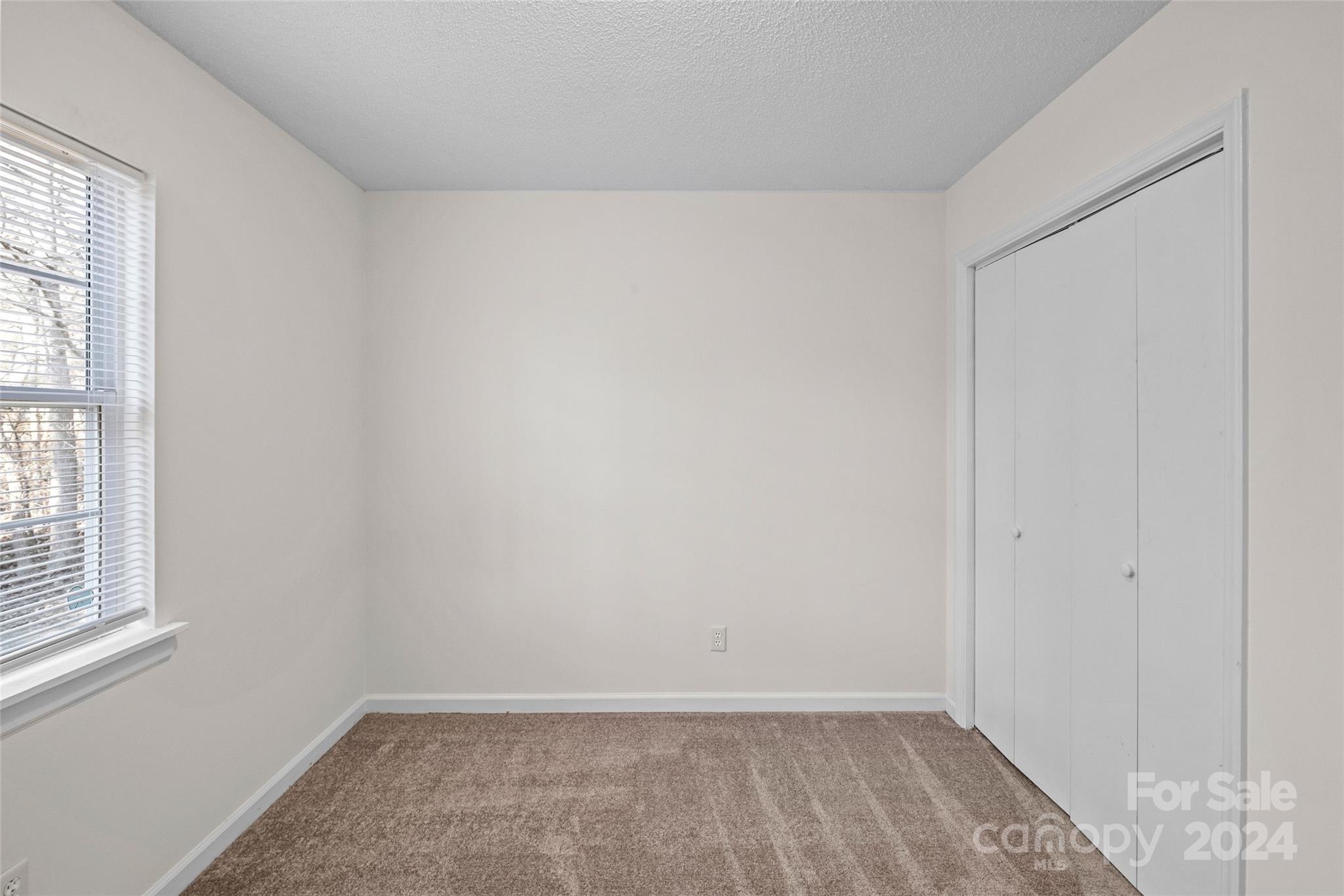 133 Mills Forest Lane