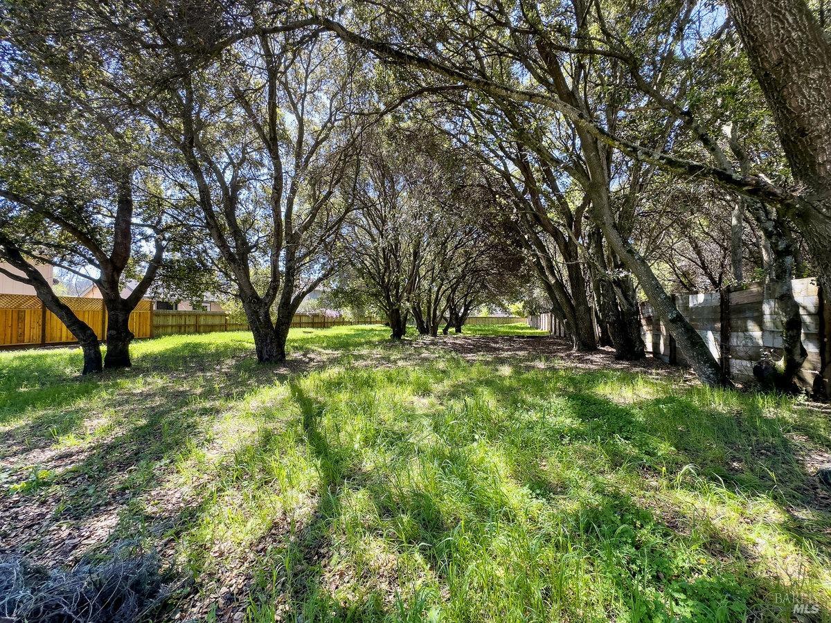 752 Petaluma Boulevard S