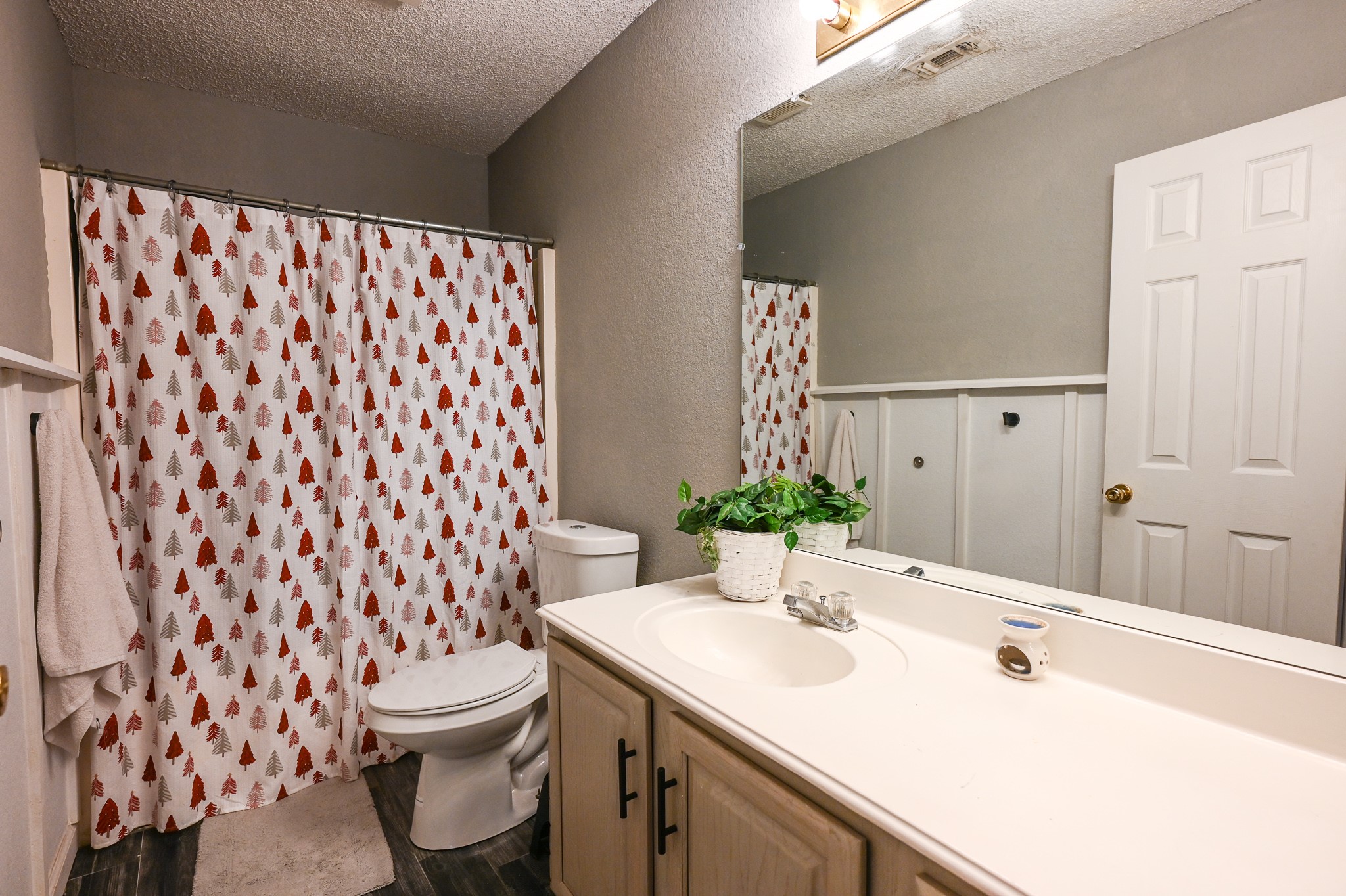 10209 Pleasant Mound Drive