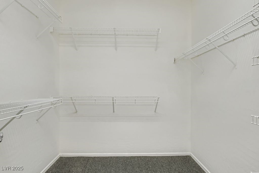 2509 Great Auk Avenue