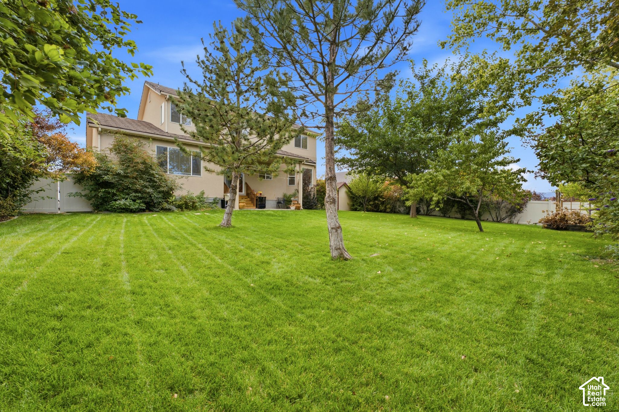 294 W HOLLAND DR