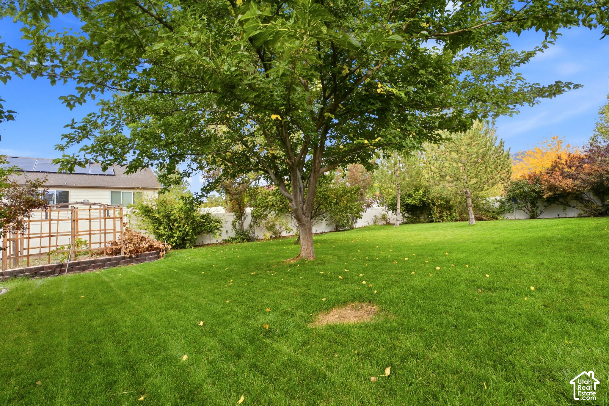 294 W HOLLAND DR