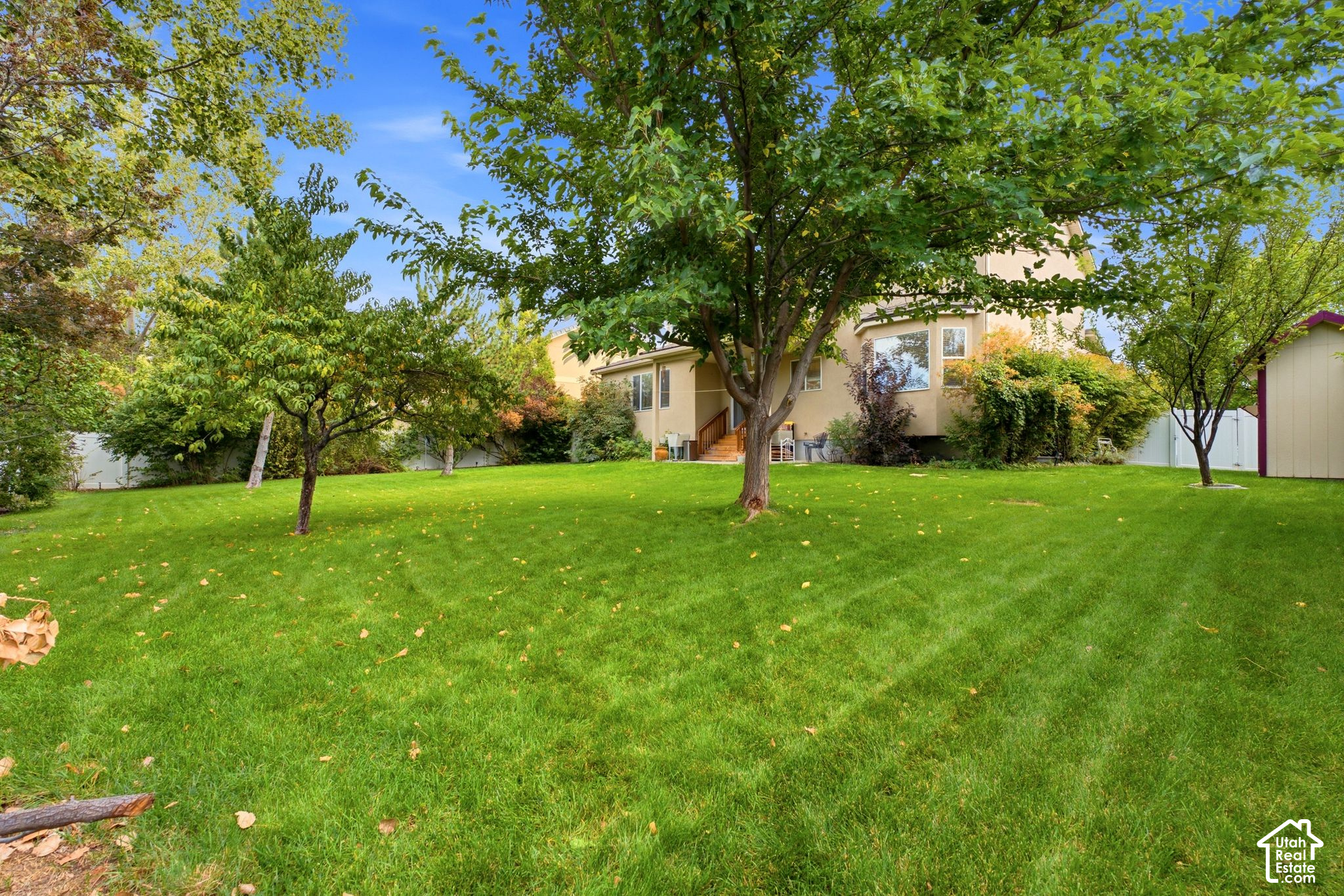 294 W HOLLAND DR