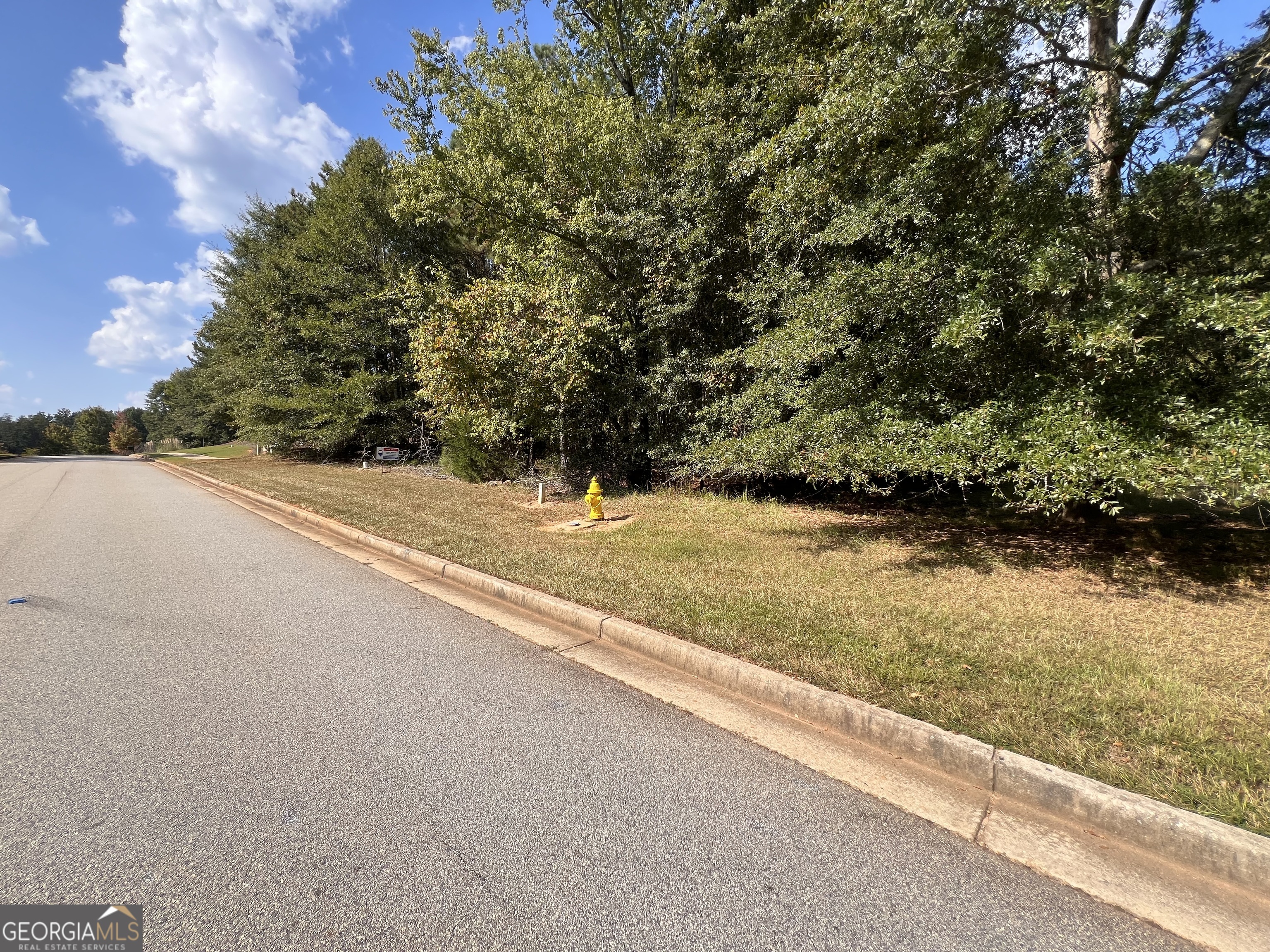 1013 Waverly Drive