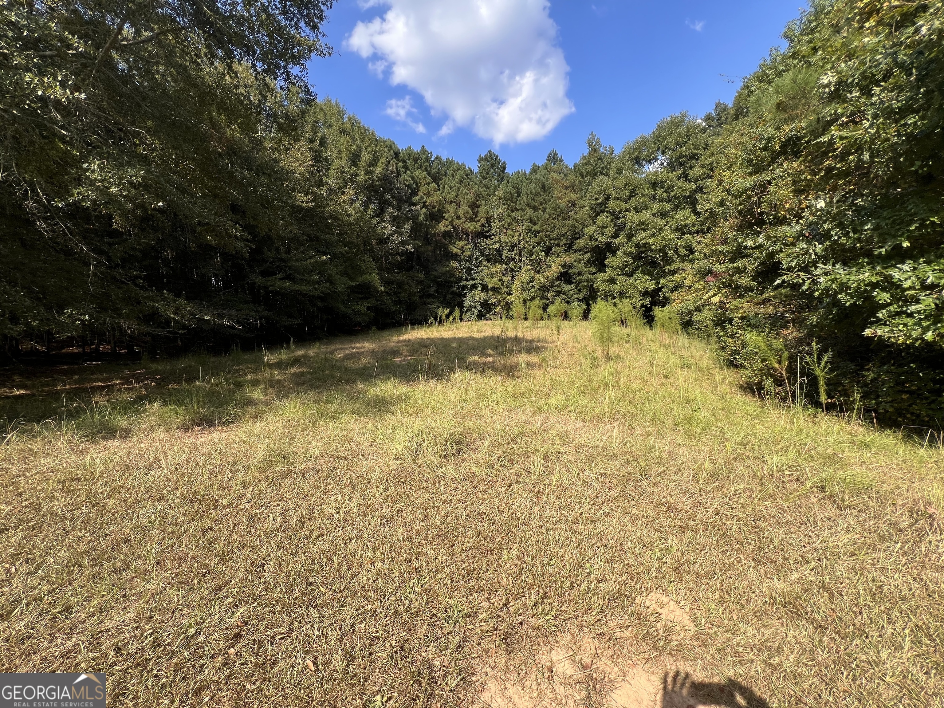 1011 Waverly Drive
