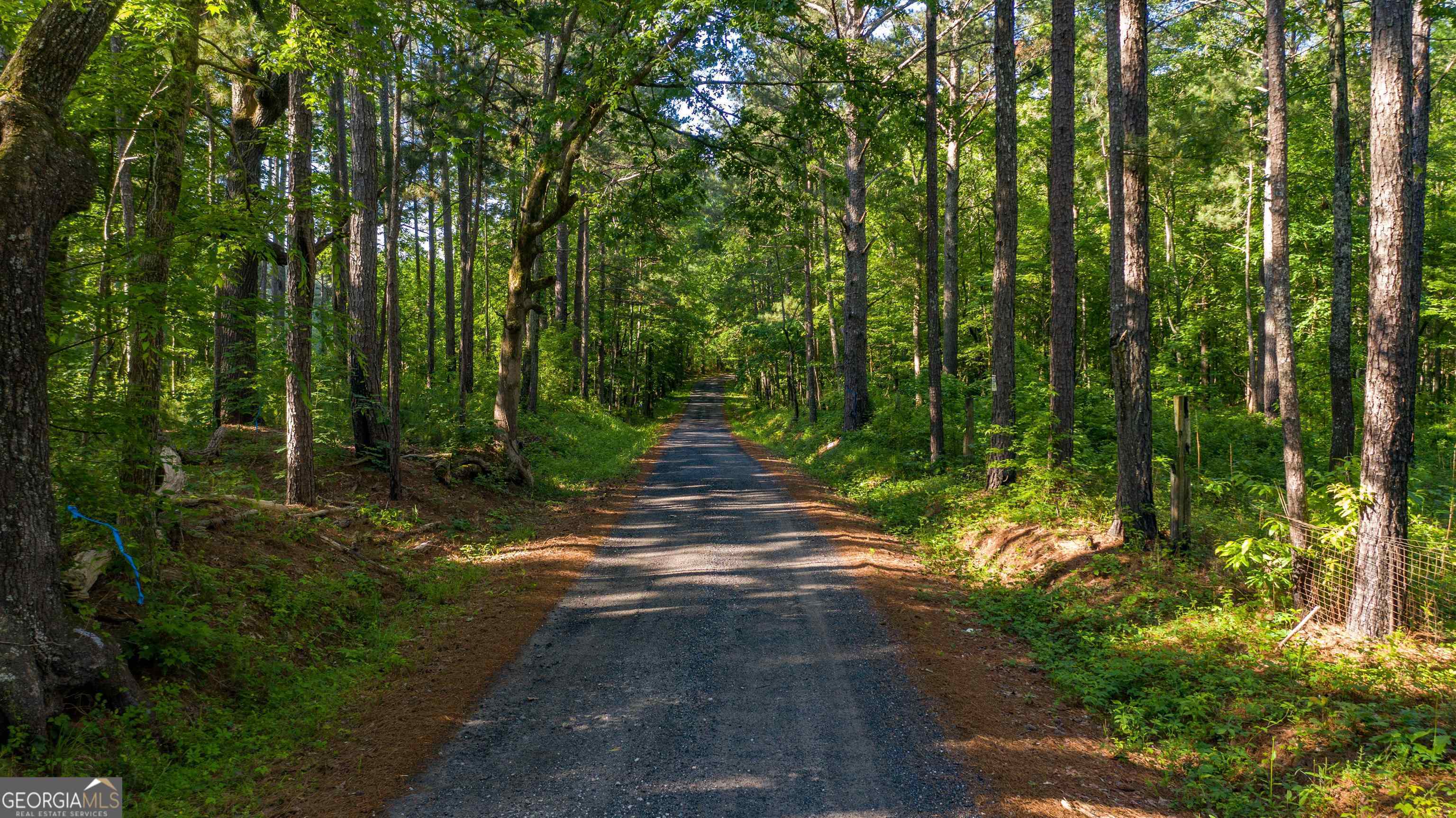 0 Padgett Road LOT 8