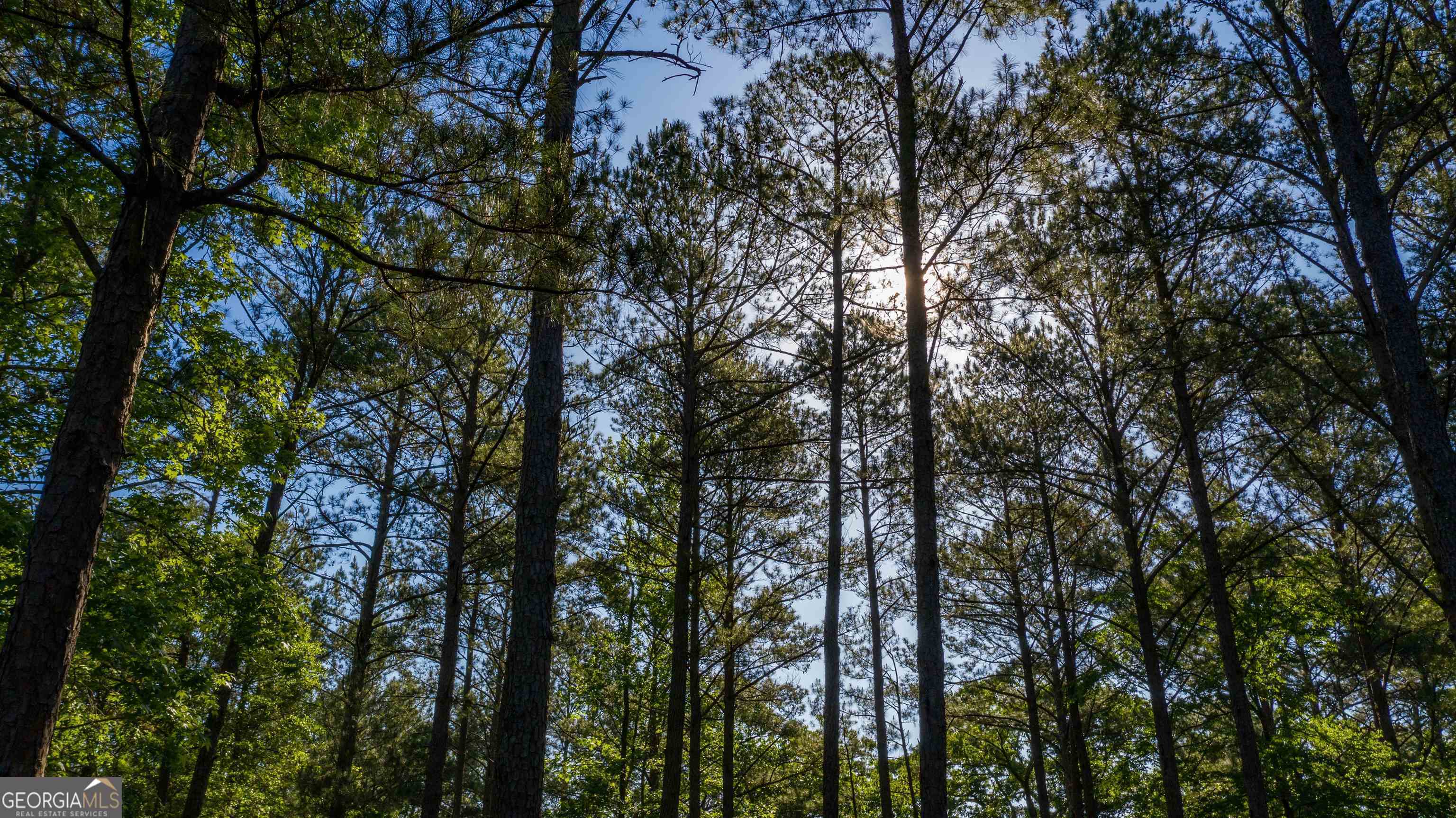 0 Morgan Mill Road LOT 5