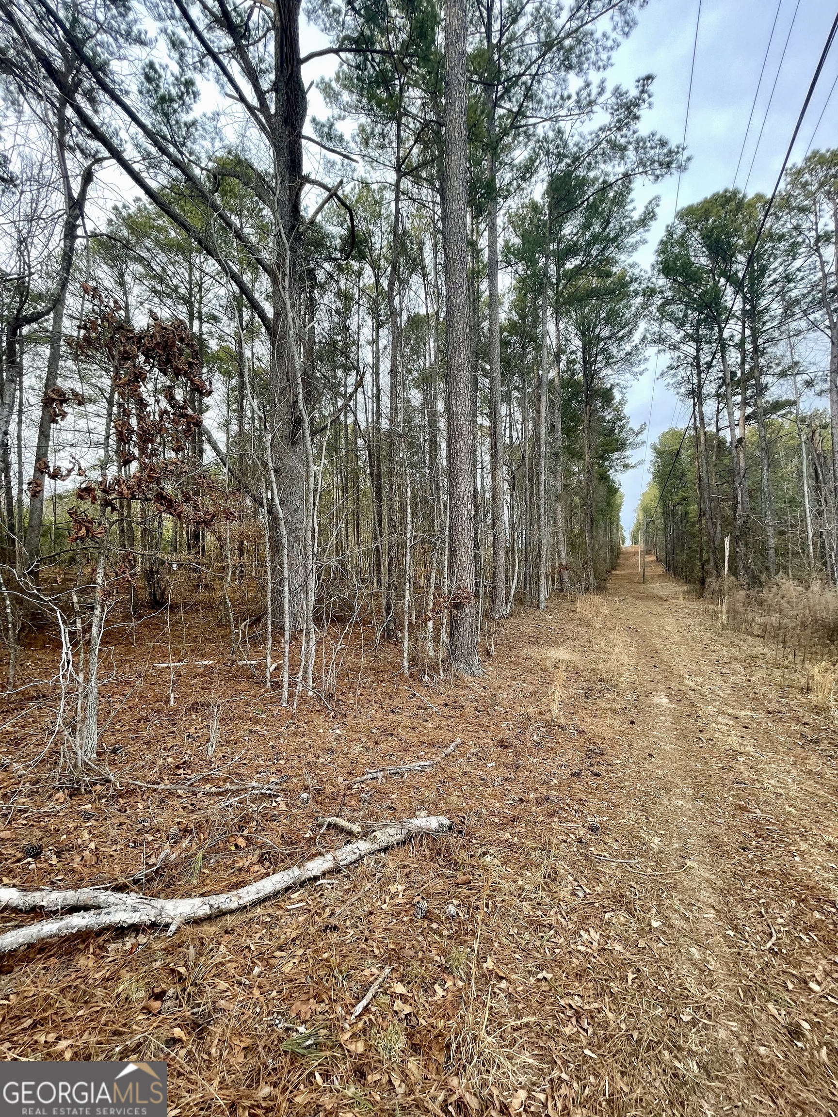 0 Padgett Road LOT 3