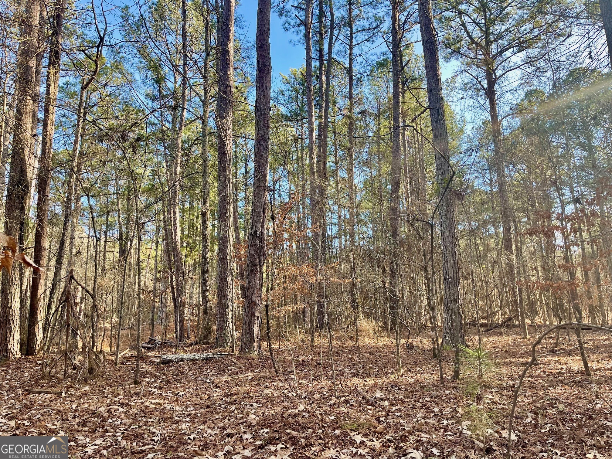 0 Padgett Road LOT 7