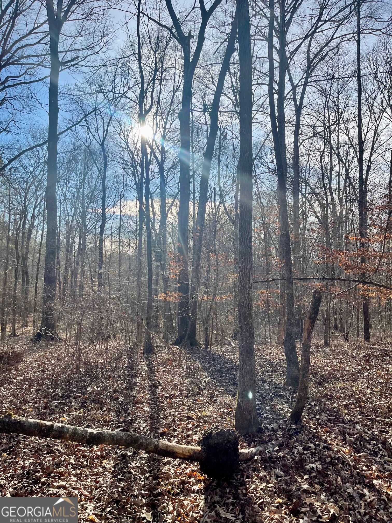 0 Padgett Road LOT 13