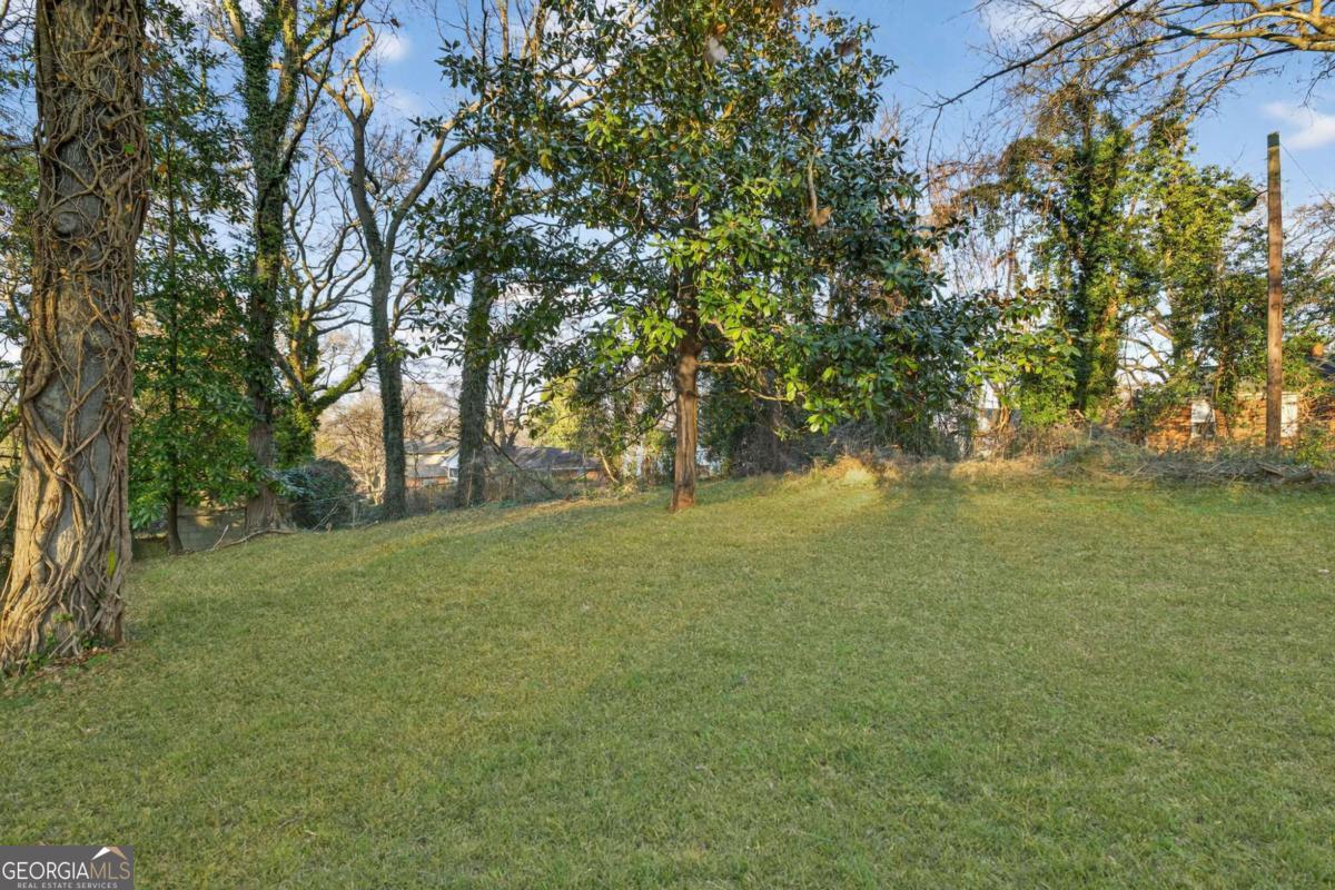 1173 Fenwood Street SW