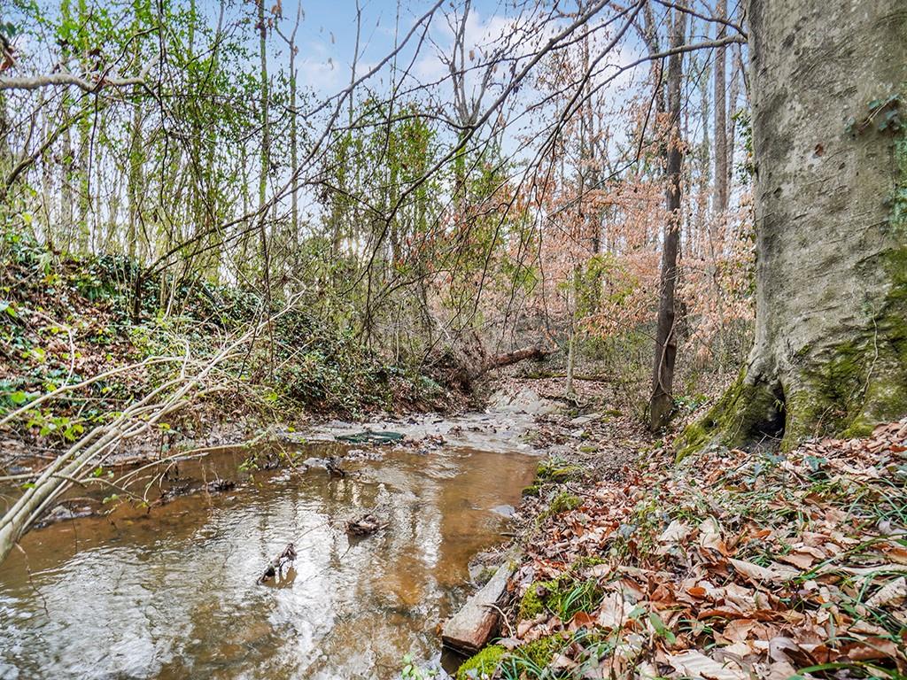 4435 Coopers Creek Drive SE