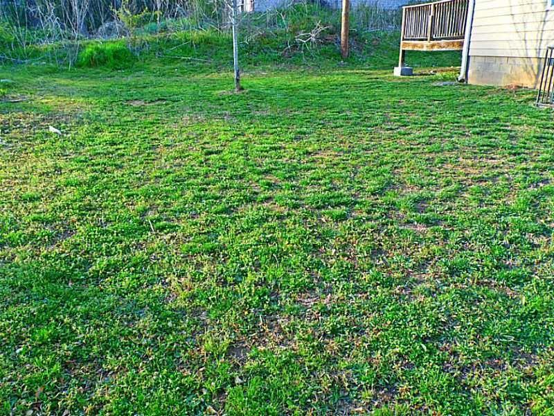 207 Brownlee Road SW