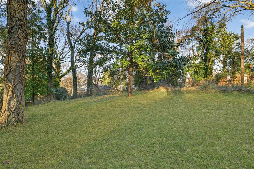 1173 Fenwood Street SW