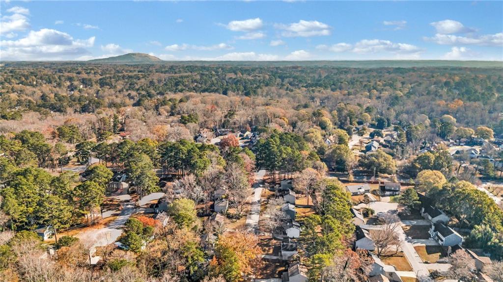 3959 Wood Path Drive