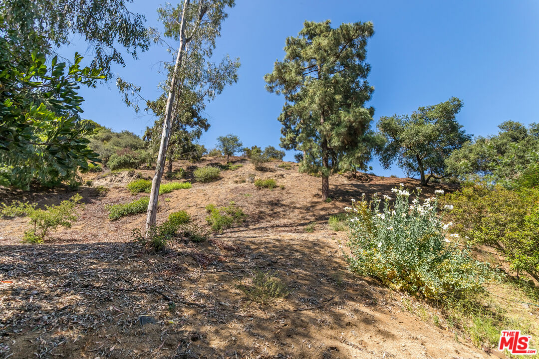 8783 Lookout Mountain Ave