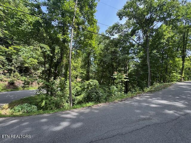 Luzerne Drive