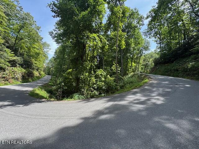 Luzerne Drive