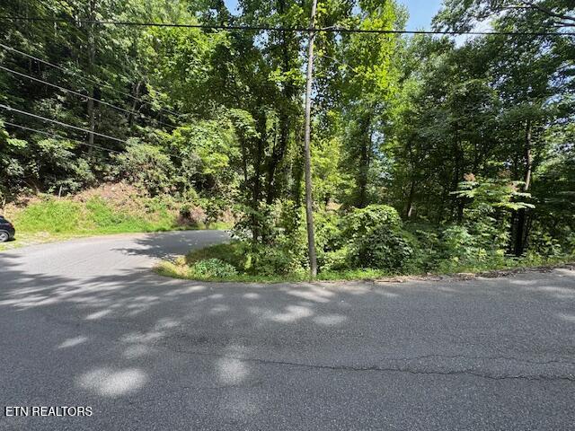 Luzerne Drive