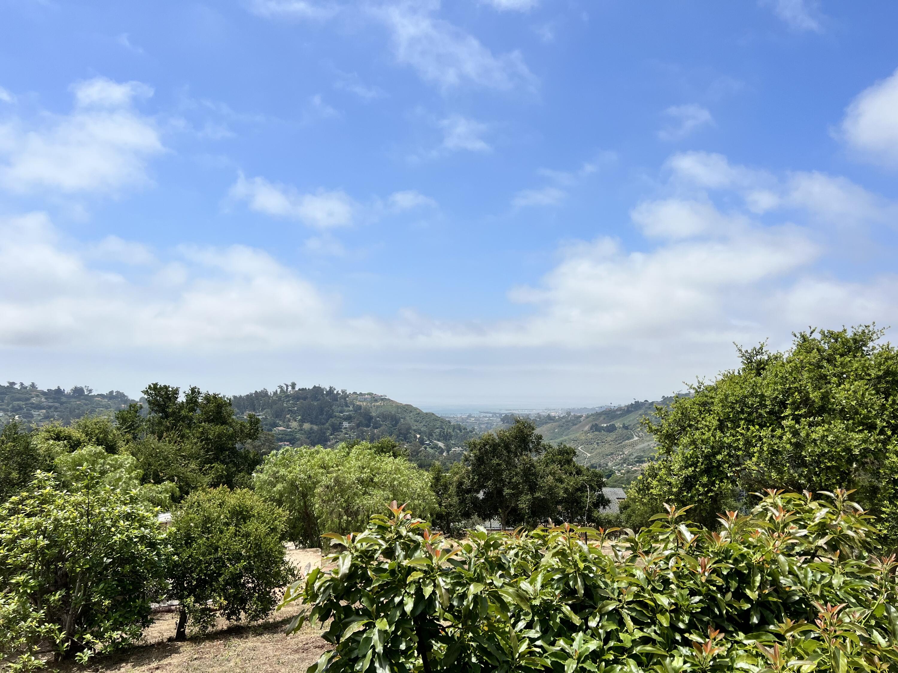 988 Coyote Road
