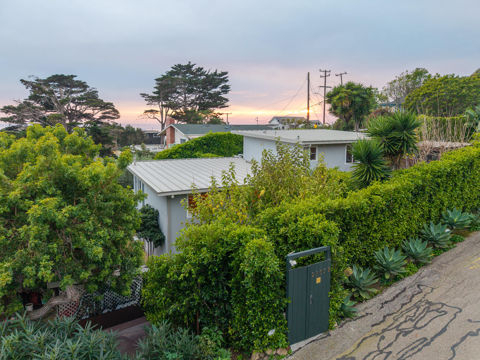 2305 Golden Gate Avenue