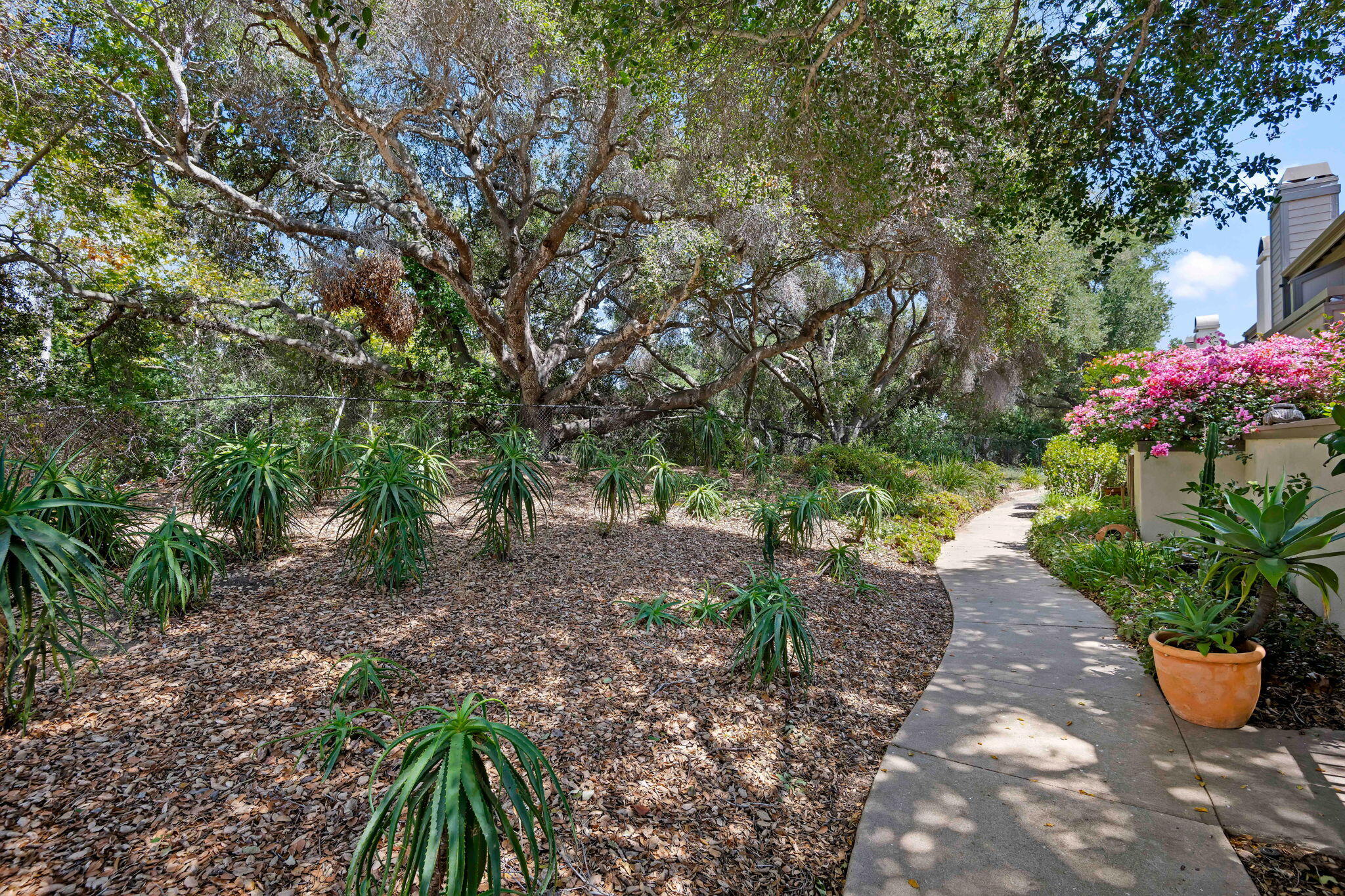 4039 Primavera Road 5