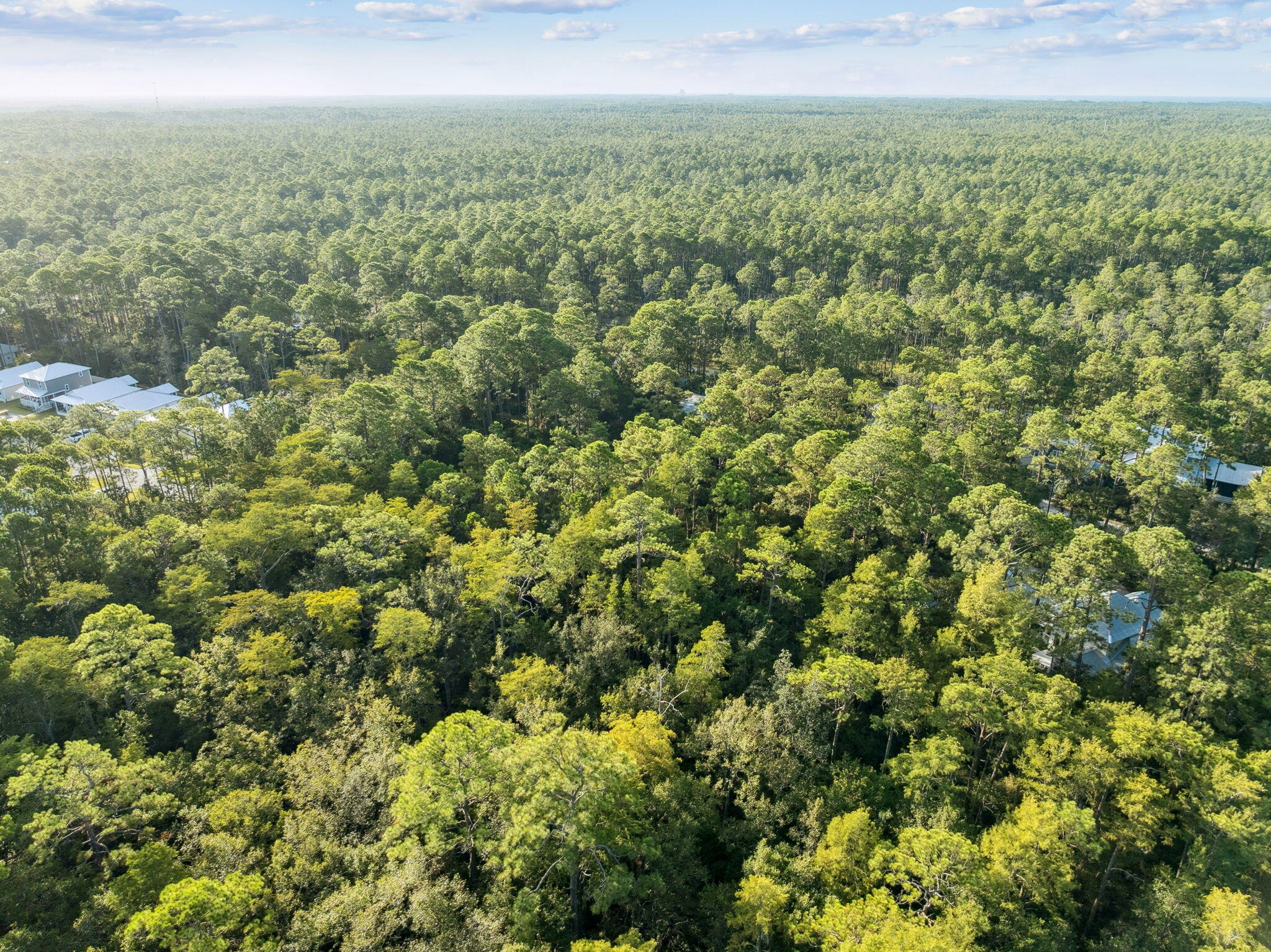 TBD Amelia Lane