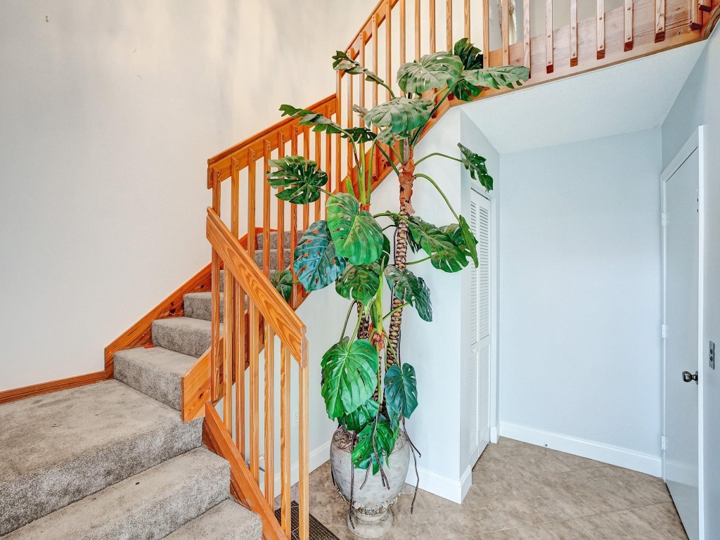 7031 Summer Tree Drive 202