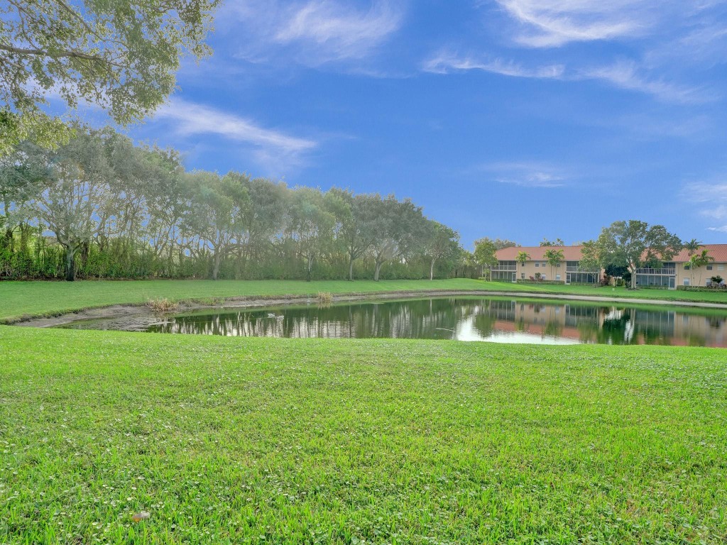 7031 Summer Tree Drive 202