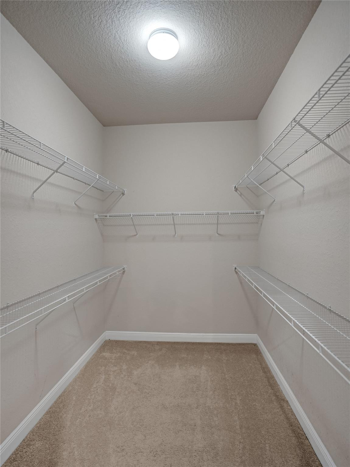 Walk-in closet with wire shelving on three walls and beige carpet.
