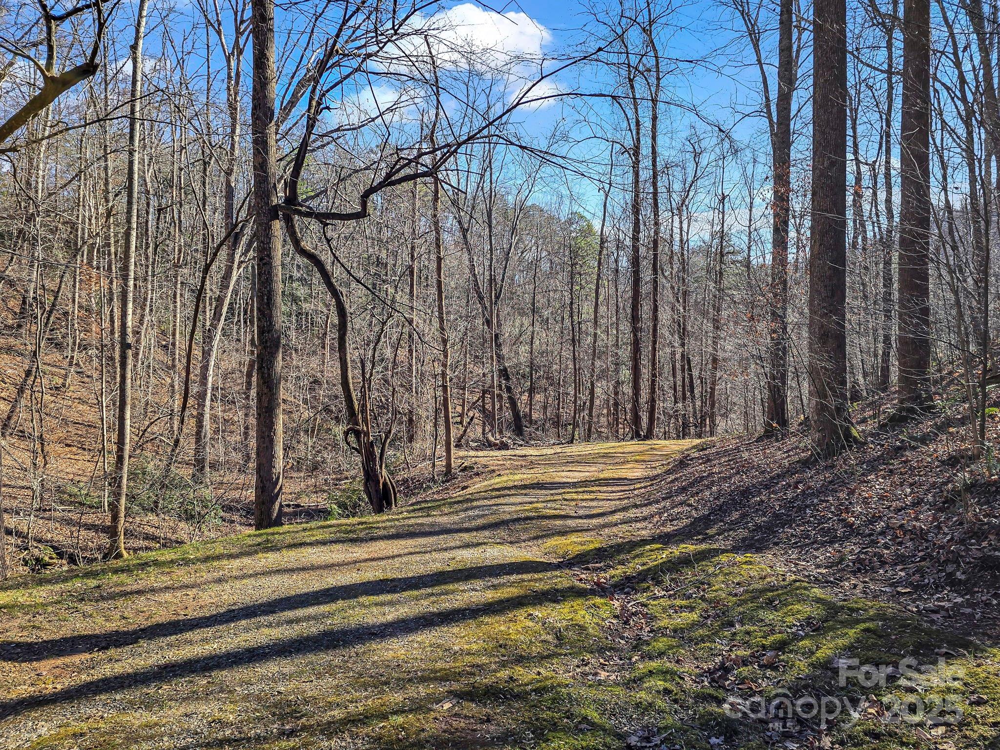6617 Green River Cove Road