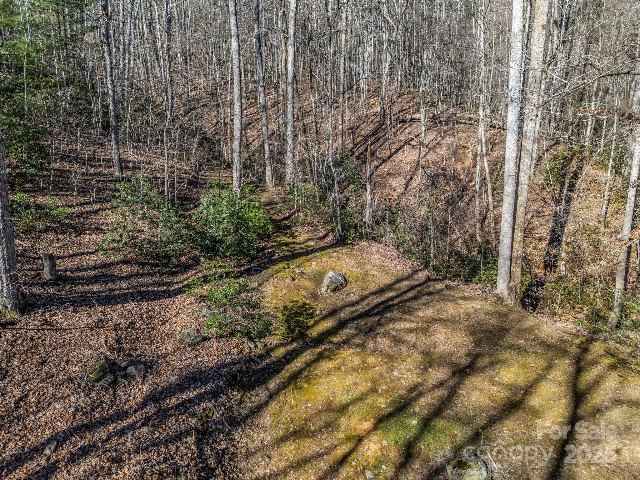 6617 Green River Cove Road