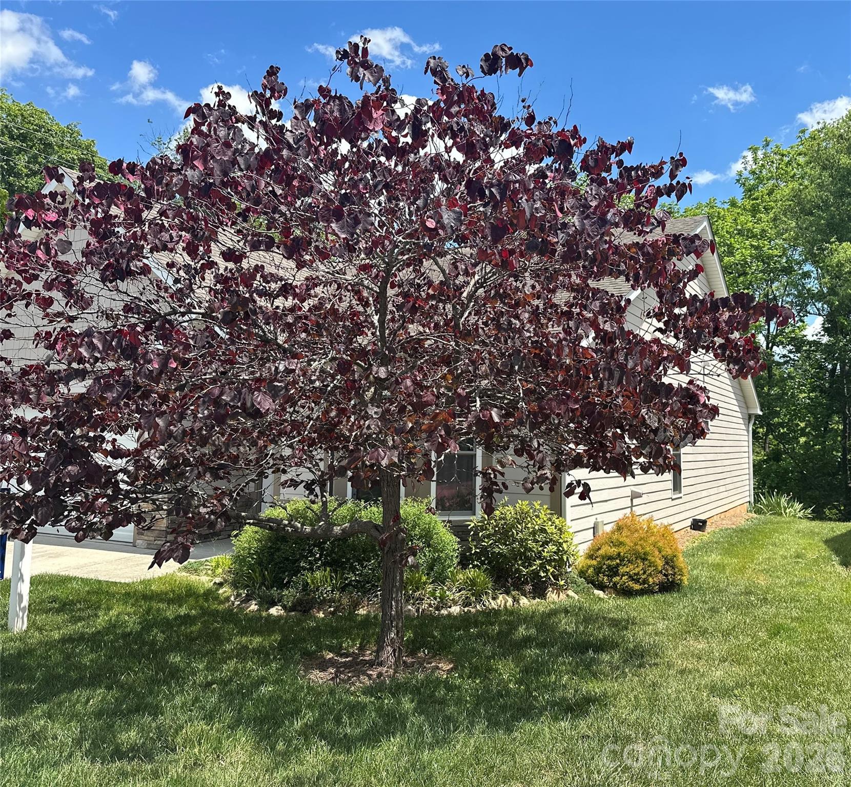 29 Kaylor Drive Unit: TH38