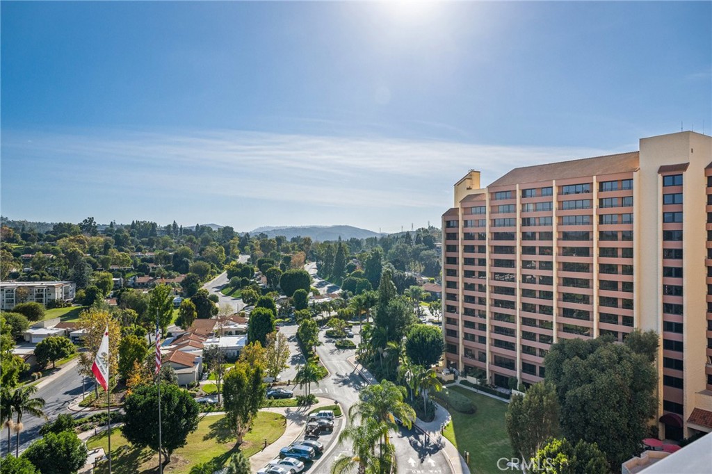 24055 Paseo Del Lago 1106