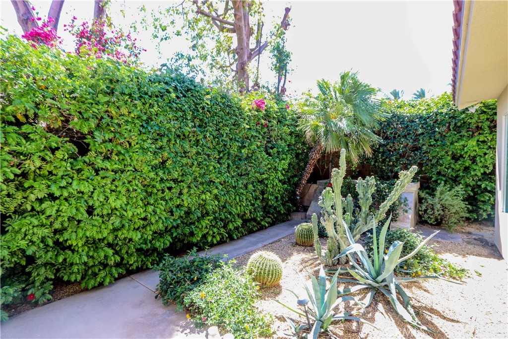 44250 Indian Canyon Lane