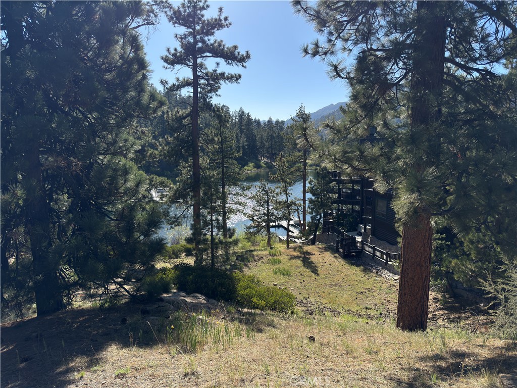 589 Cove Drive