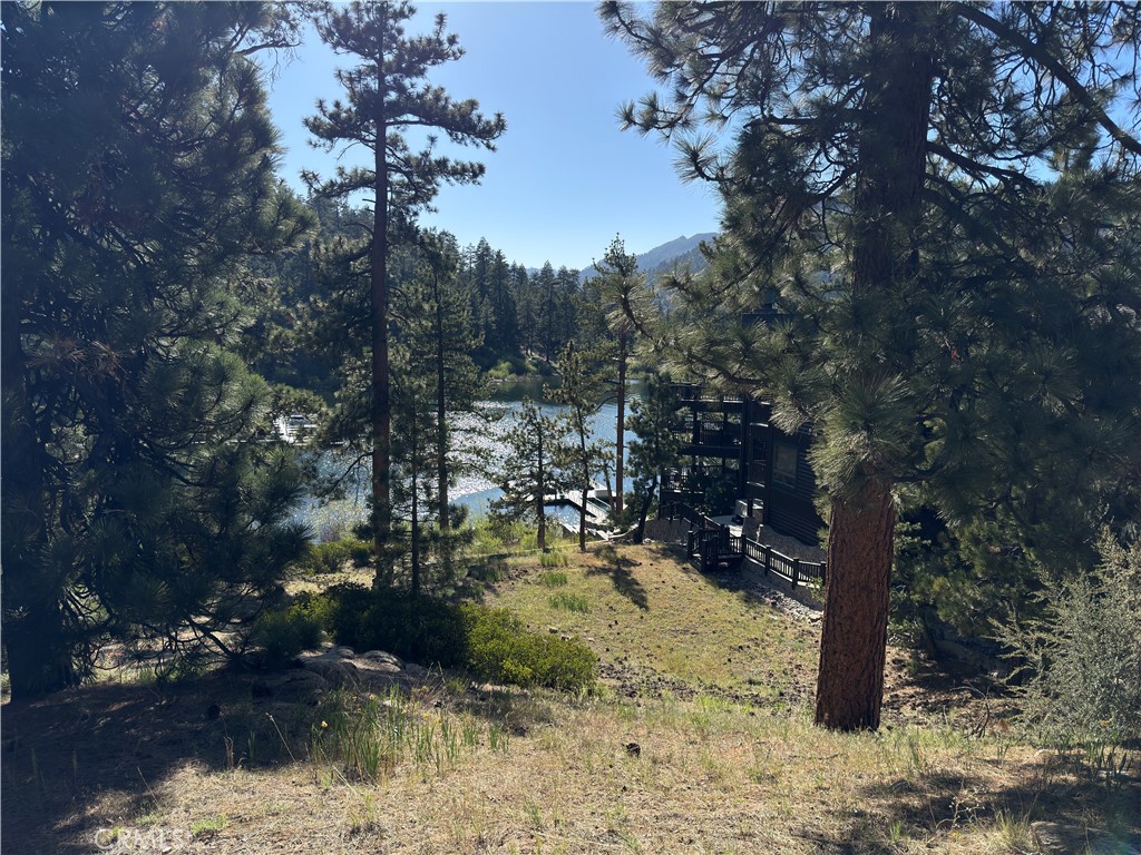 589 Cove Drive