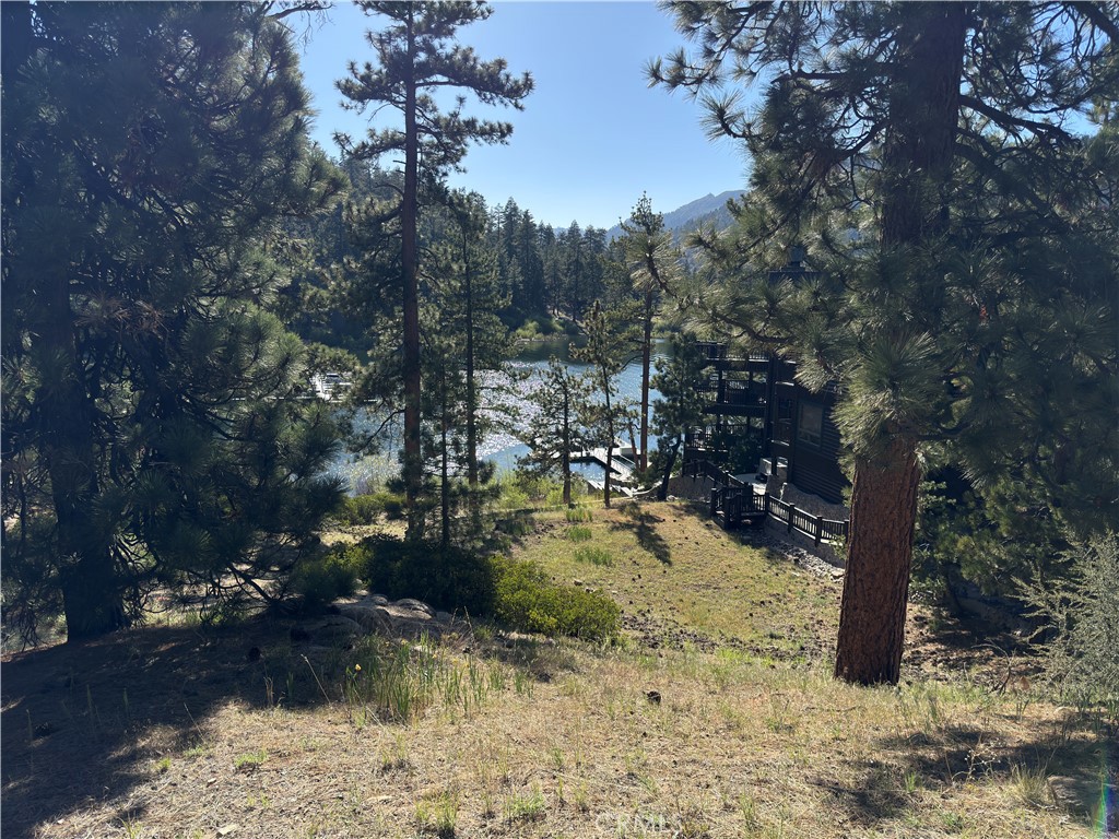 589 Cove Drive
