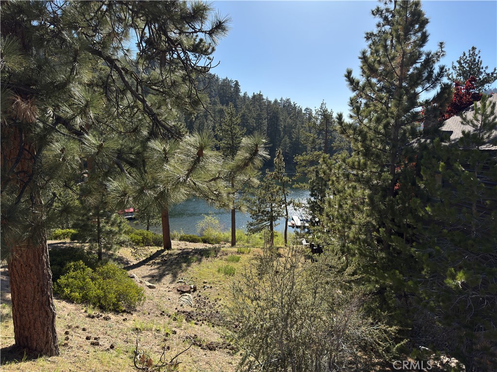 589 Cove Drive