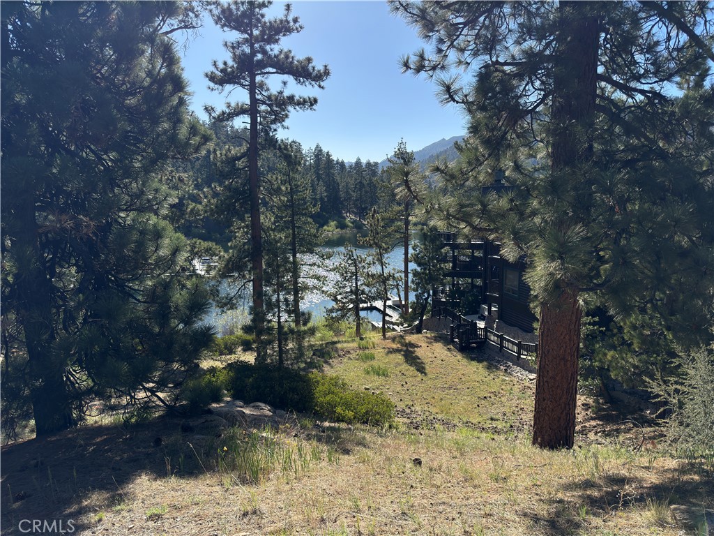 589 Cove Drive