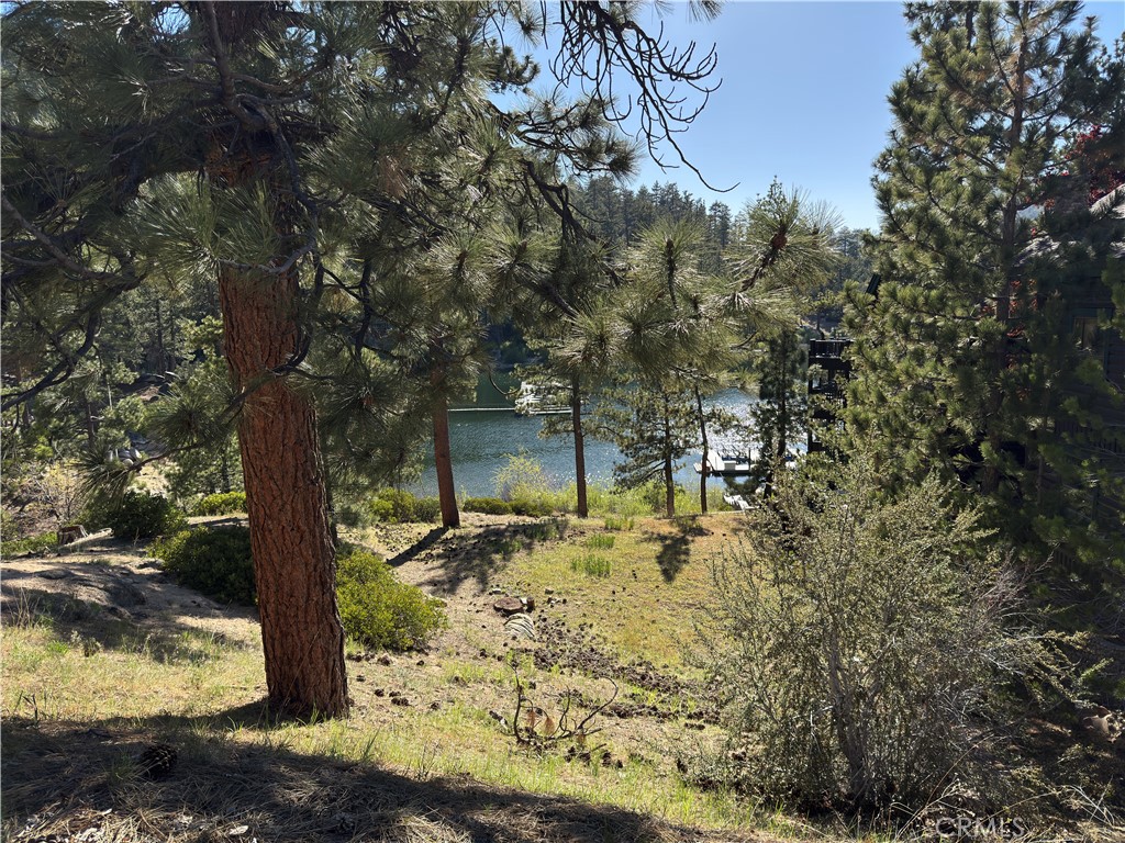 589 Cove Drive