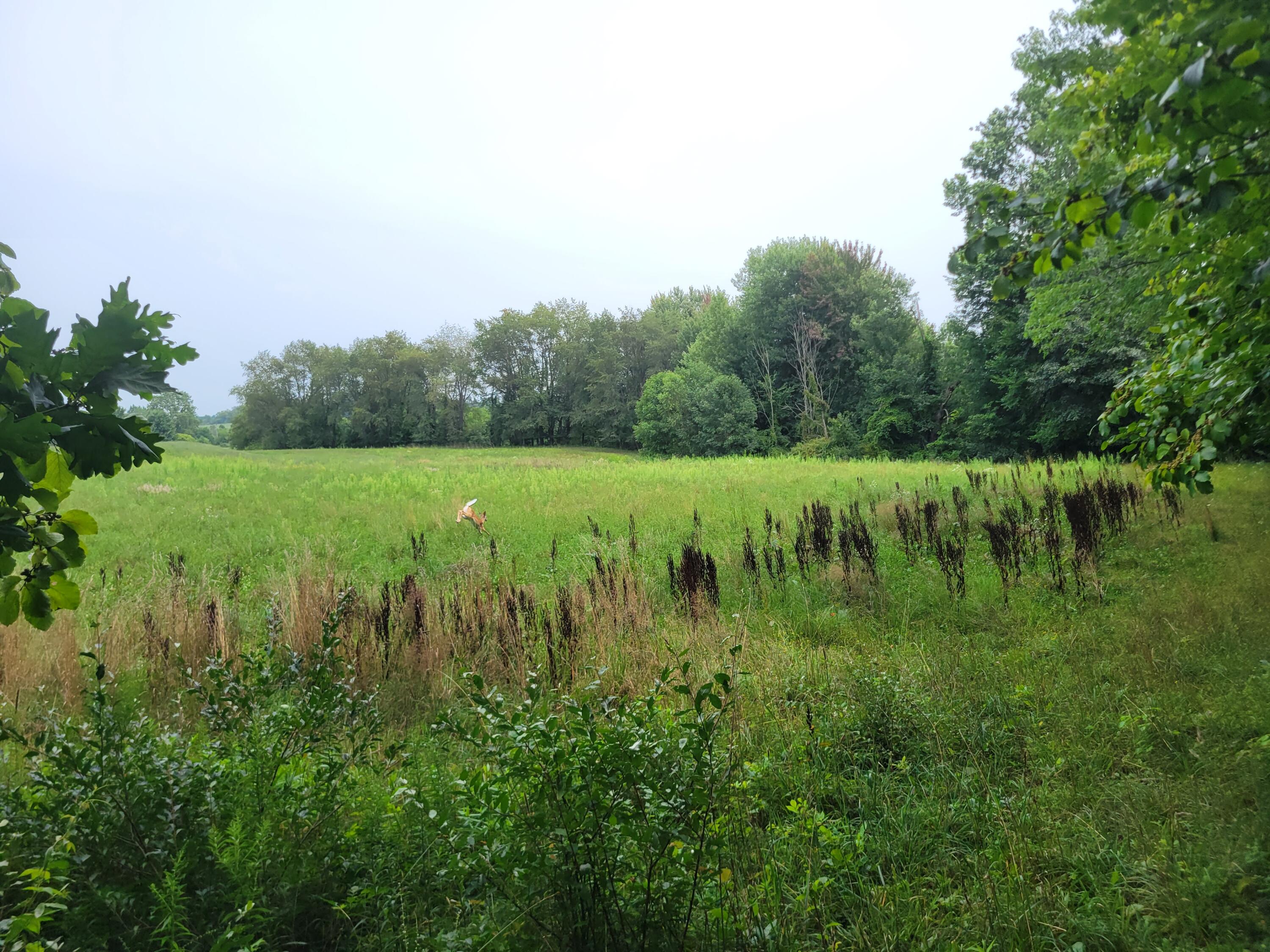 Lot 5 Centennial Acres 146th Avenue